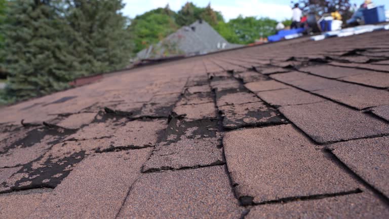 Trusted Serenada, TX Roofing Experts